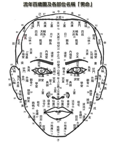 人中面相男|十二种人中面相图文分析三六风水网